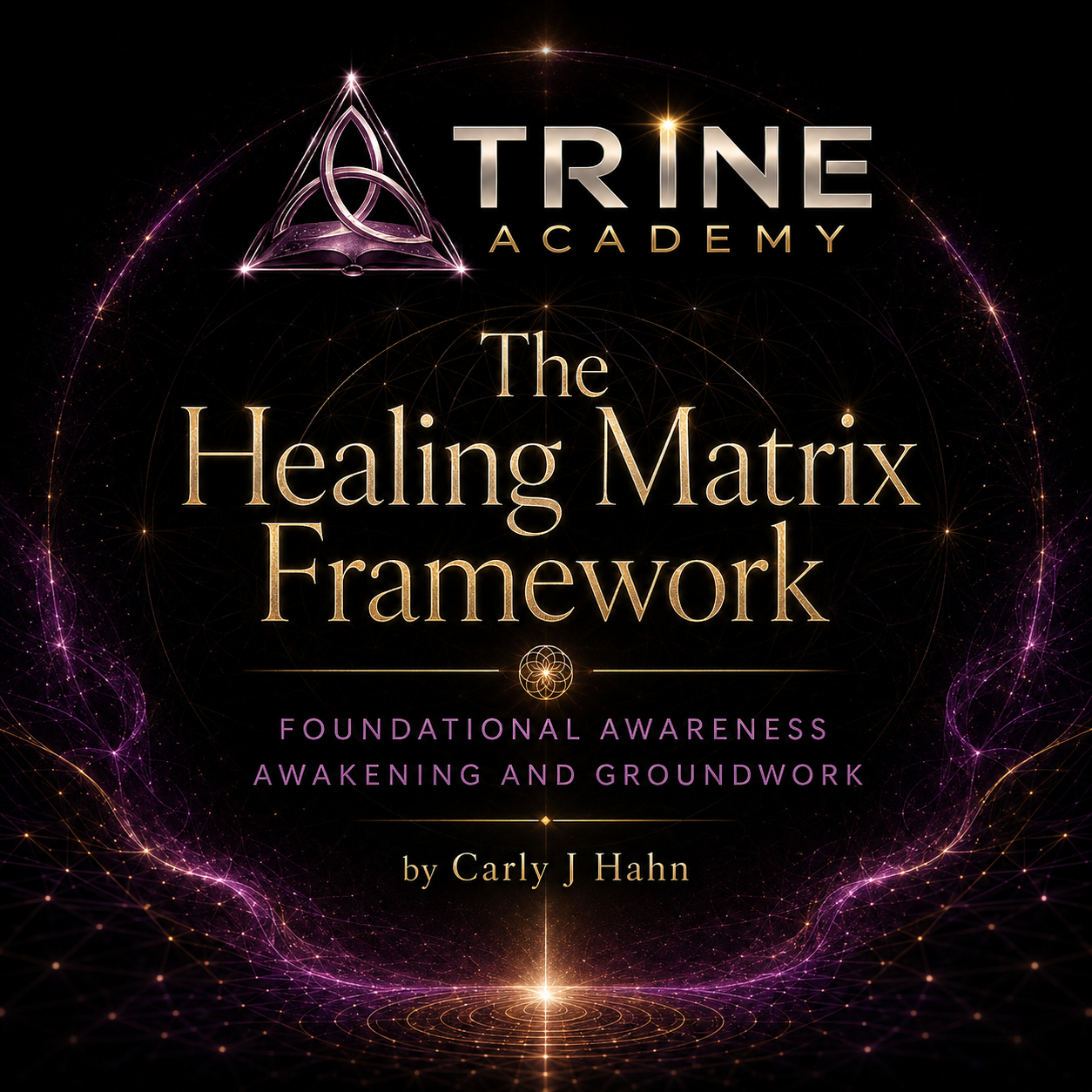 The Healing Matrix Audio Course: Part One: Foundational Awareness