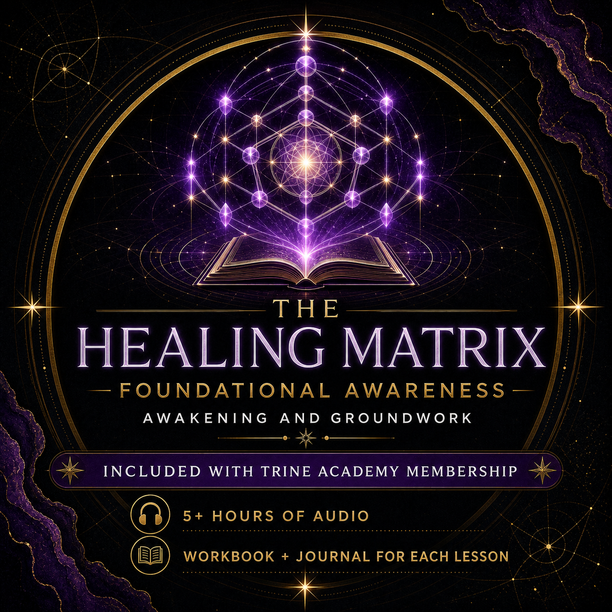 healing-matrix-framework-bonus